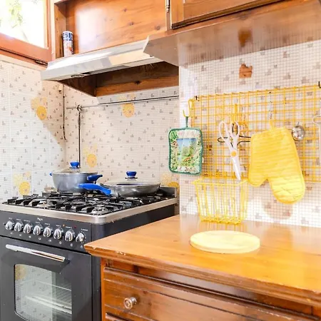 - Center - Regina Margherita Olbia